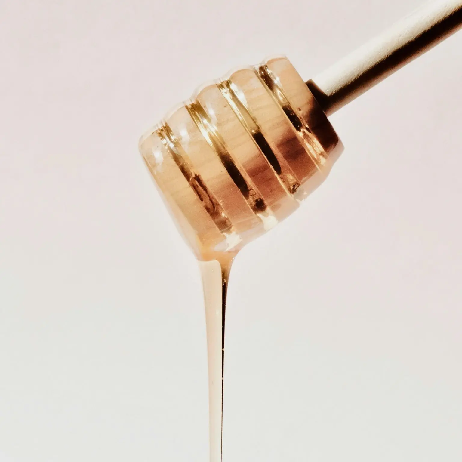 Fermentation maison : comment débuter Fermentation maison : comment débuter