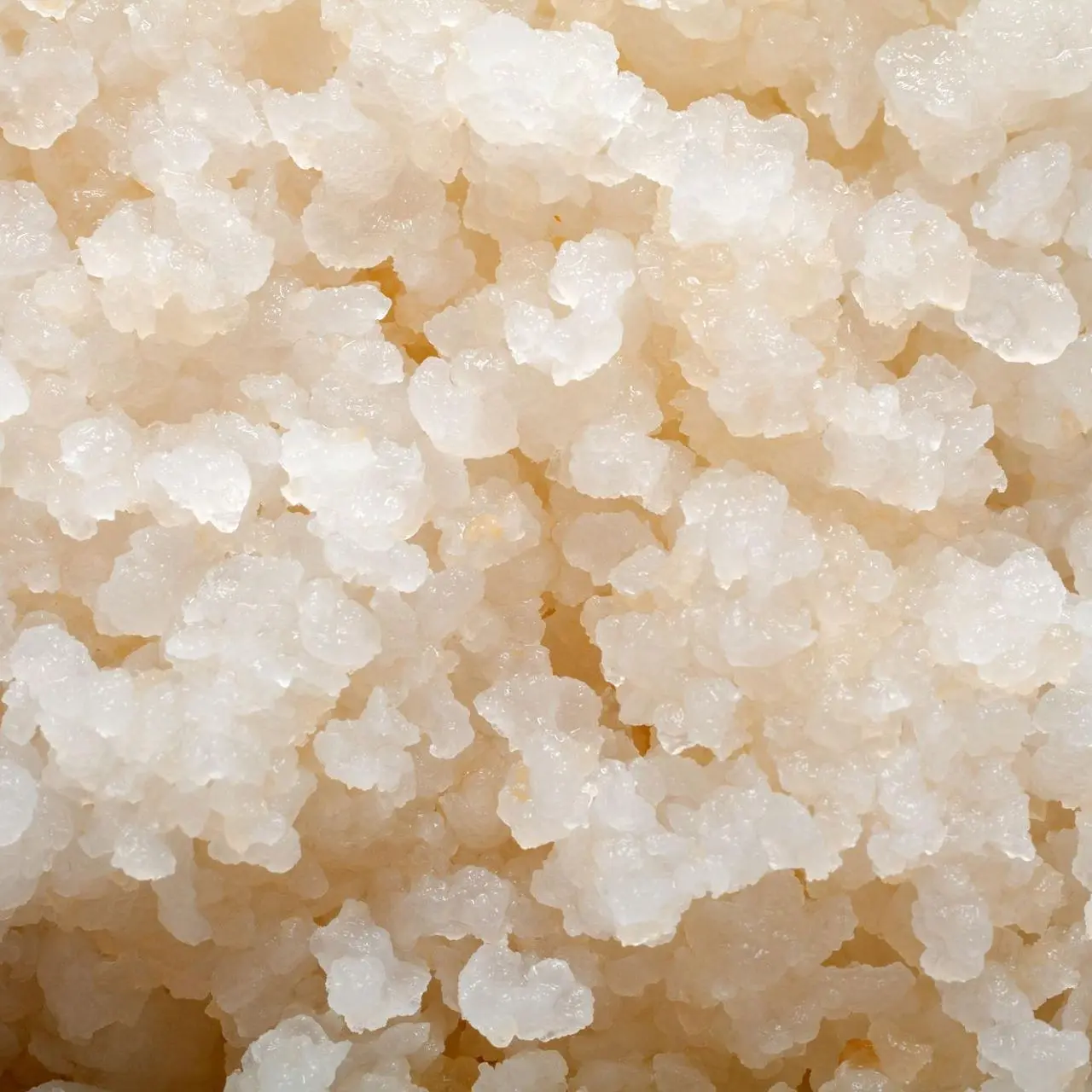 Les bases de la fermentation naturelle