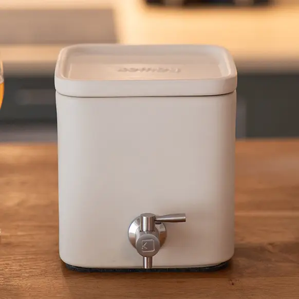 Création mère de kombucha